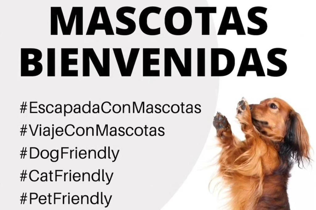 La Caseta De Rotova - Casa Rural Para Desconectar Экстерьер фото