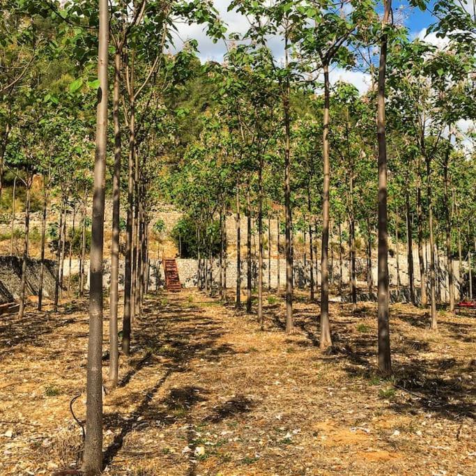La Caseta De Rotova - Casa Rural Para Desconectar Экстерьер фото